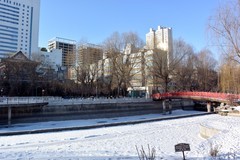 边走边拍（十七）