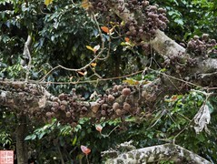 2025.3.22三门海游（22)