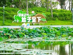 【今日立秋】走进广汉三星湖
