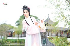 【簪花提篮，红楼意韵】---婉灵