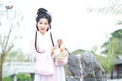 【簪花提篮，红楼意韵】---婉灵