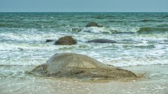 湛江吴川 · 鼎龙湾（2）