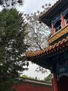 2026年- 北海公园禅福寺纪实拍-0333