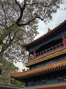2026年- 北海公园禅福寺纪实拍-0333