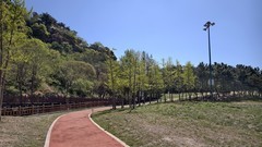 立 夏 的 棒 棰 岛 国 宾 馆 和 迎 宾 路