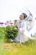 芍药花开（6）