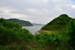 周日领略初夏的风景这里最美