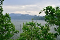 周日领略初夏的风景这里最美