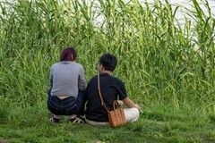 庐州印象（653）