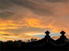 2026年- 陶然亭公园纪实拍-0540