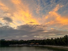 2026年- 陶然亭公园纪实拍-0540