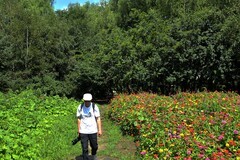 人民公园——湖上风光（3）