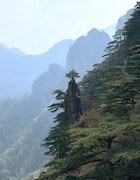 1867【不老松：纪实摄影】〖山河锦绣、詩画江南〗黄山美景！