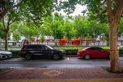 雨后漫步