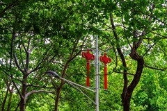 雨后漫步