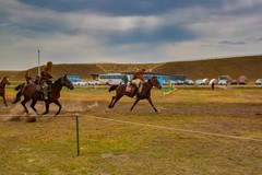 昭苏湿地公园跑马场 3