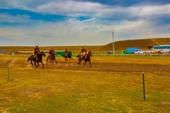 昭苏湿地公园跑马场 3