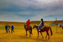 昭苏湿地公园跑马场 3