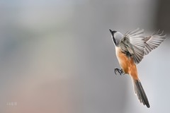 按一下快门得一串