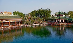 游公园随拍（二）