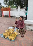 老挝琅勃拉邦--早市掠影