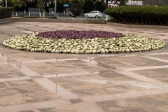 庐州印象（576）