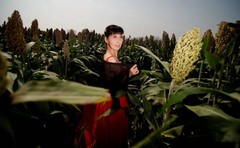 环境人像----高粱地的村姑！