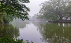 岭南烟雨