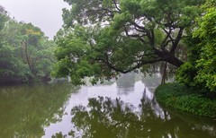 岭南烟雨