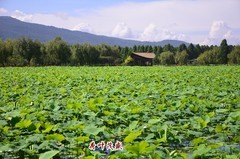 曲靖麒麟水乡（六）