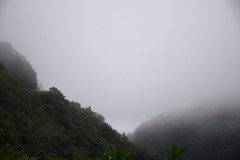 2026夏天游（22）主峰青鹅仙