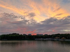 2026年- 陶然亭公园纪实拍-0543