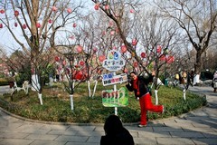 五龙潭公园杂拍