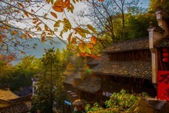 山清山风景77