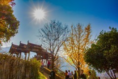 山清山风景77