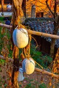 山清山风景77