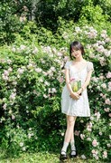 春天赏花