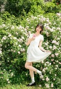 春天赏花
