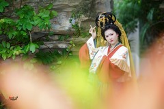 【西荒仙阙】---南阳