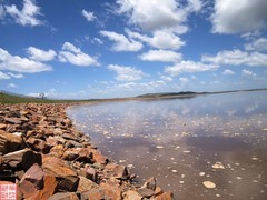 2025.6.27黄河九曲第一湾打卡（8）