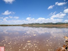 2025.6.27黄河九曲第一湾打卡（8）