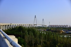 秋日骑行辽东湾鸭舌岛