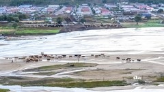 金秋乌兰布统-天太永（8）