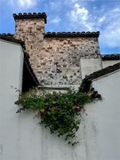 2026年-常州青果巷纪实游拍-0119