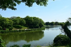 凤鸣湖畔（续）