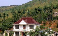 1877【不老松：纪实摄影】〖山河锦绣、詩画江南〗去南京的路上绿化美景！