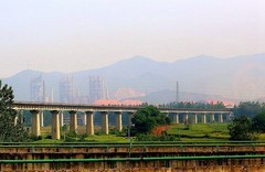 1877【不老松：纪实摄影】〖山河锦绣、詩画江南〗去南京的路上绿化美景！