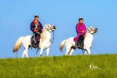 马背上的风采（33）