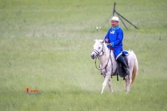 马背上的风采（33）