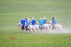 马背上的风采（33）